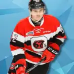 Top NHL Hockey Agents Have Negotiated Over $500 Million In Contracts for Players | Elite Junior Profiles